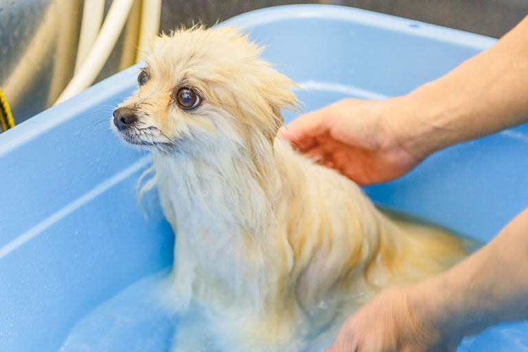 炭酸泉（温浴）の様子