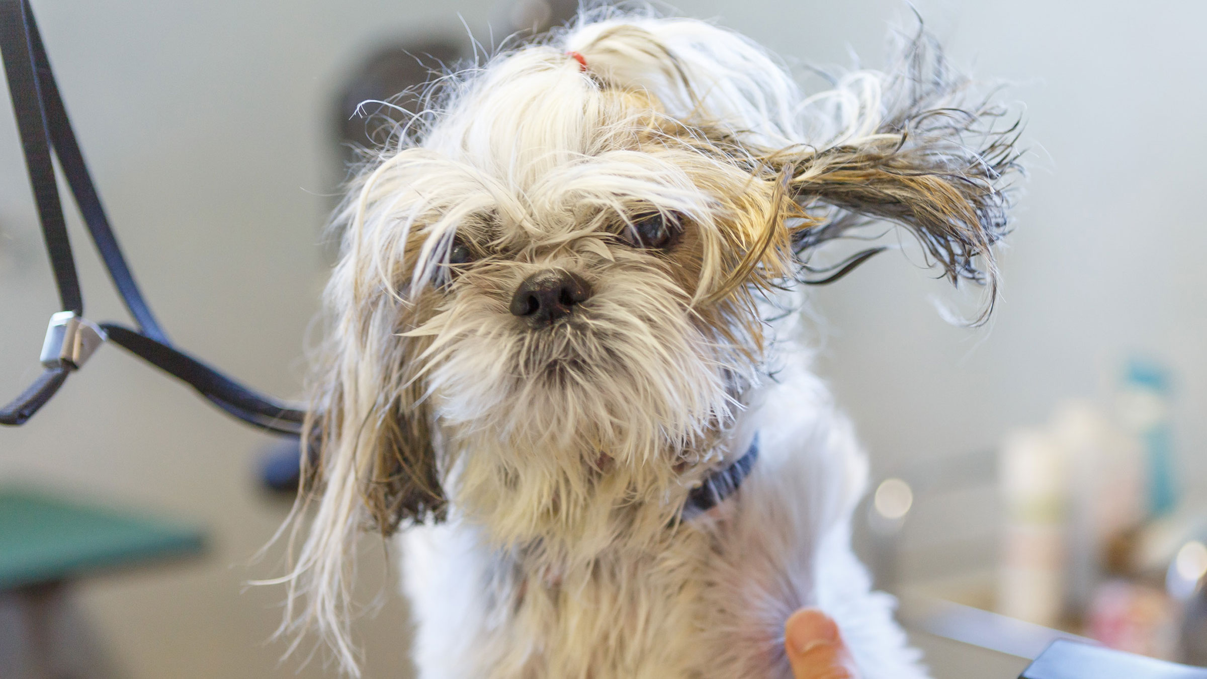 ページタイトル画像